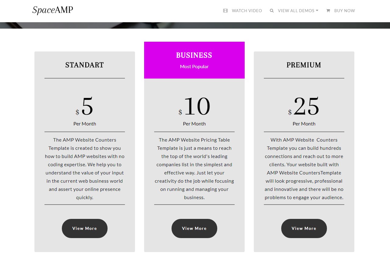 AMP Website Countas And Pricing Tables Template