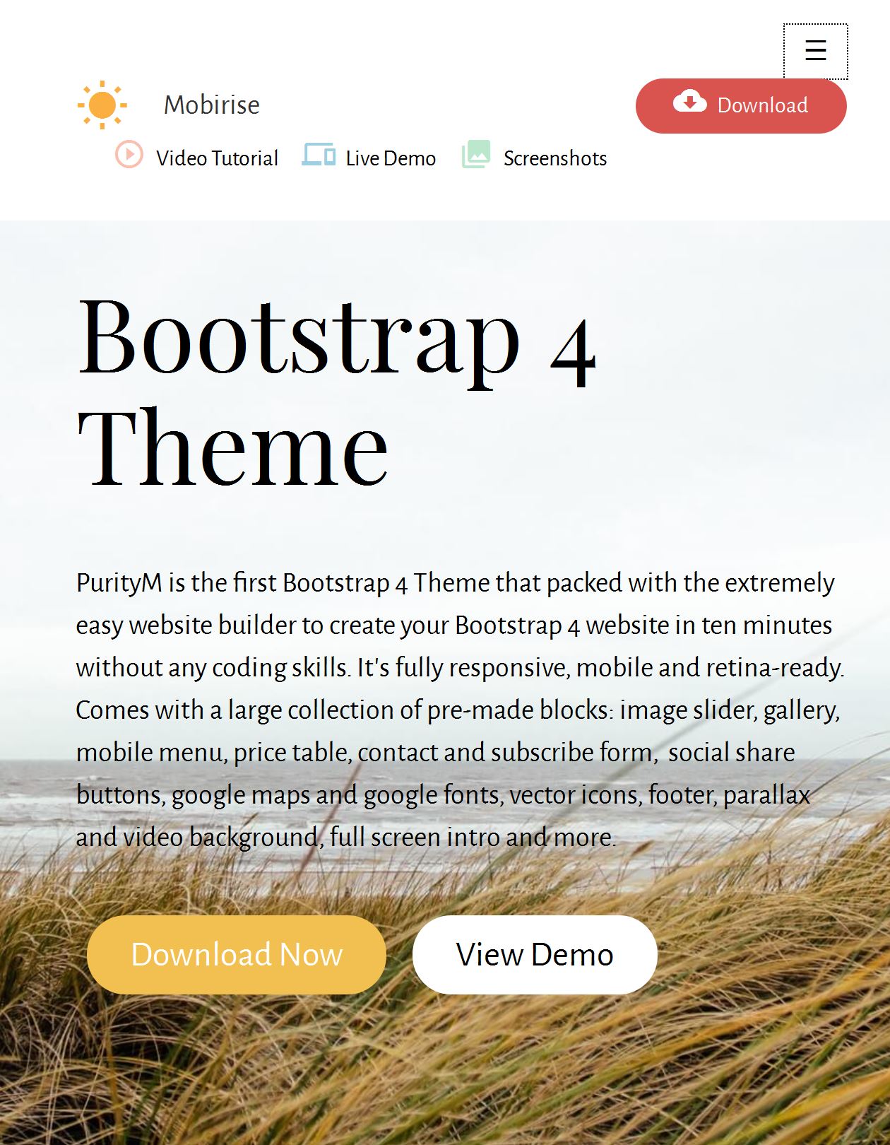 Bootstrap Starter Template Download