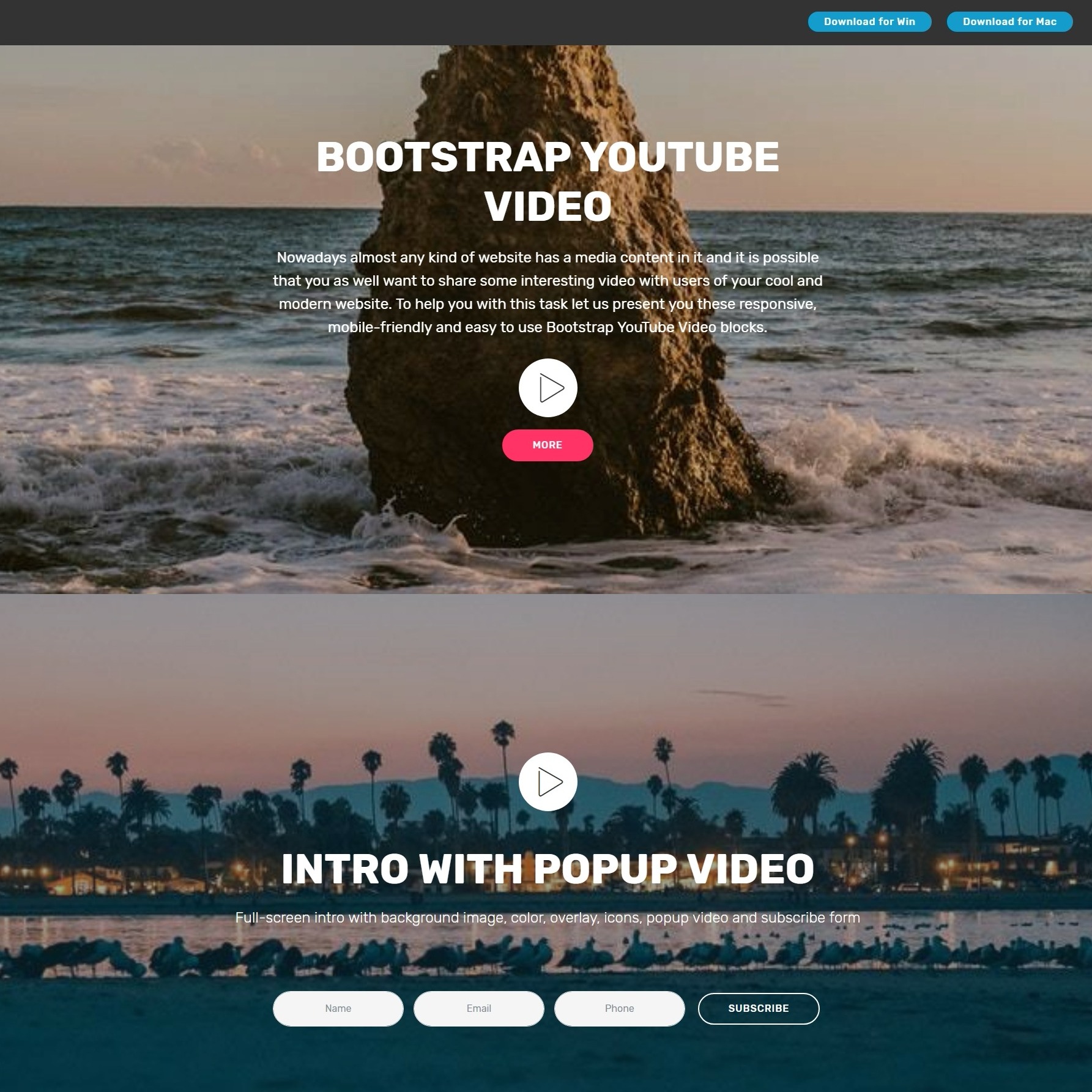 Professional HTML Bootstrap Modal Video Backgrounds and Accordion Menu  Examples