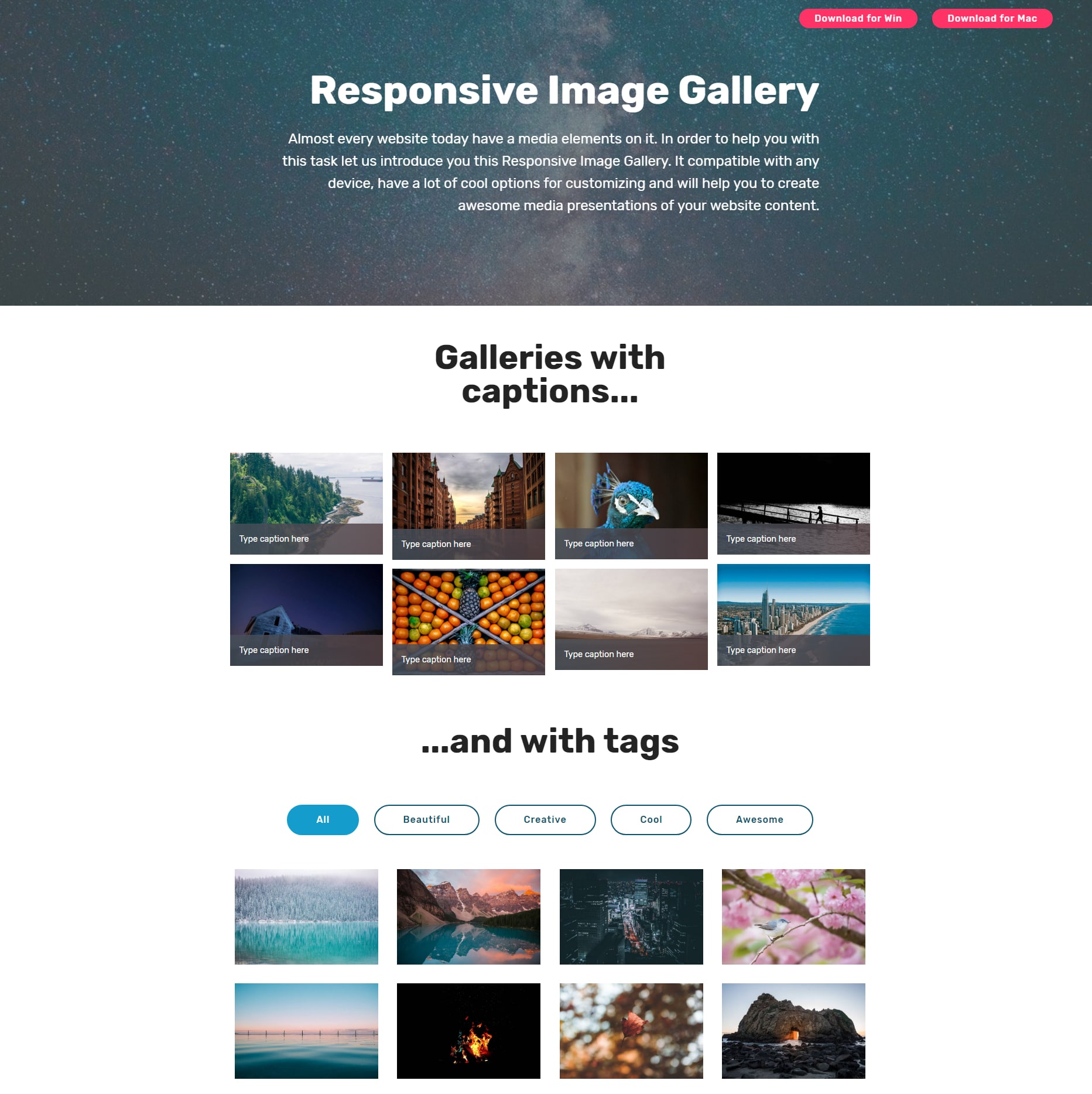 CSS Bootstrap Illustration Gallery