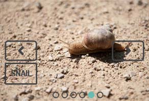jquery image slider with zoom effect
